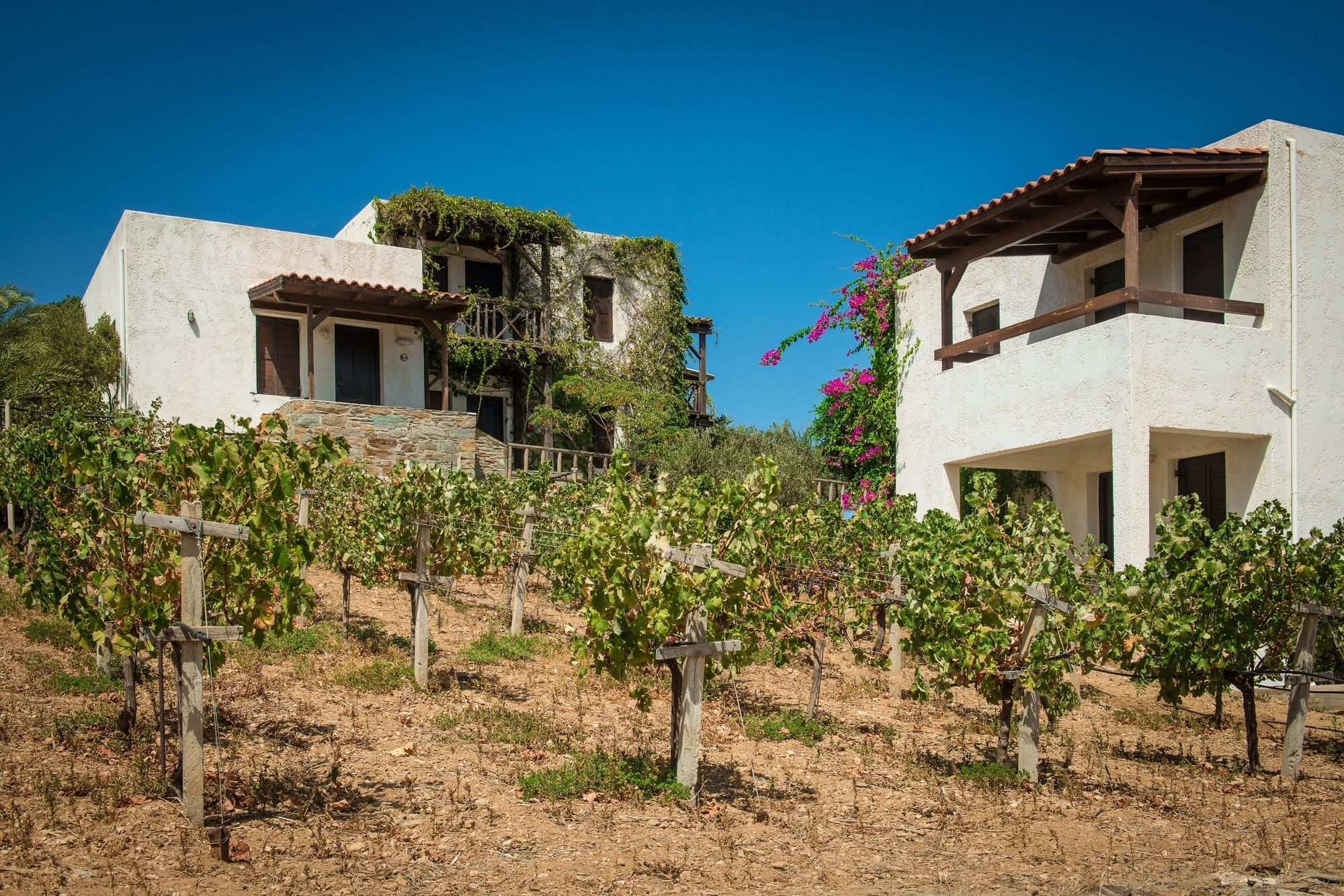 Ambelos Agia Pelagia  Exterior foto